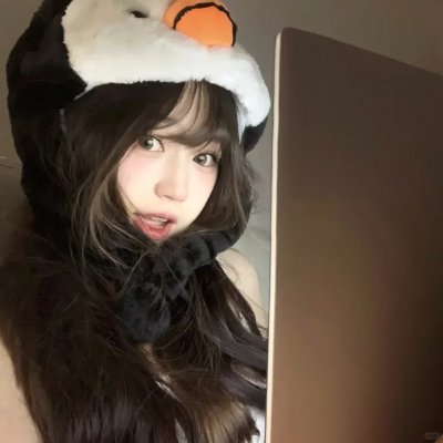 狐狸之声国语