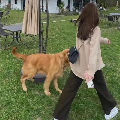 地狱来的芳邻2